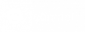 Logo Teamnet